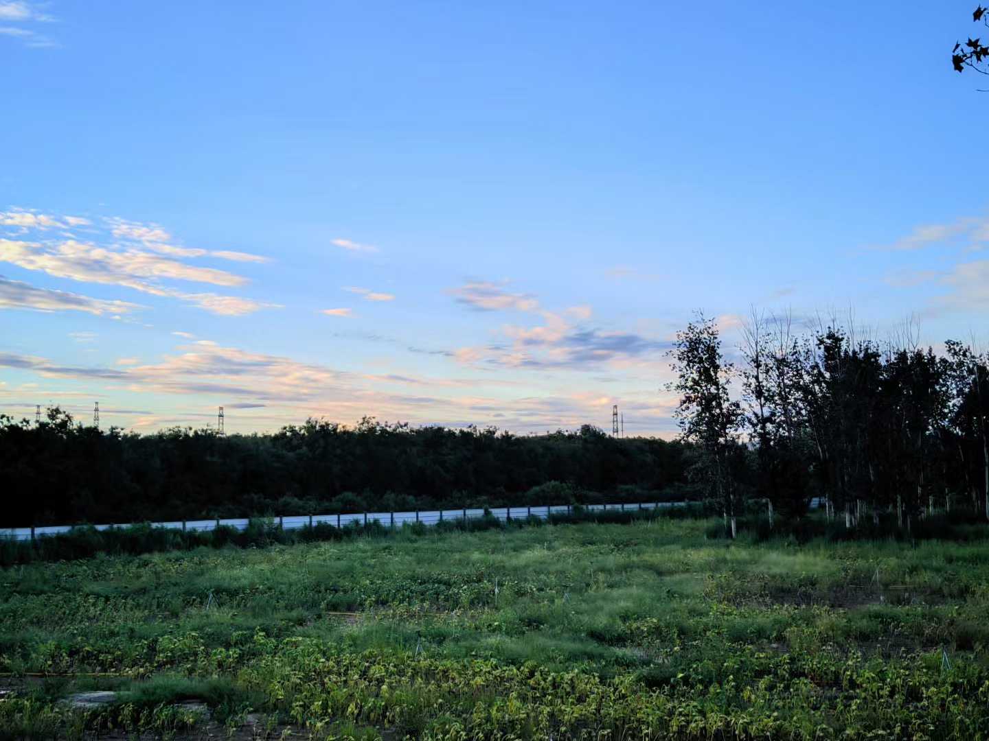 南苑湿地公园的暮色草地